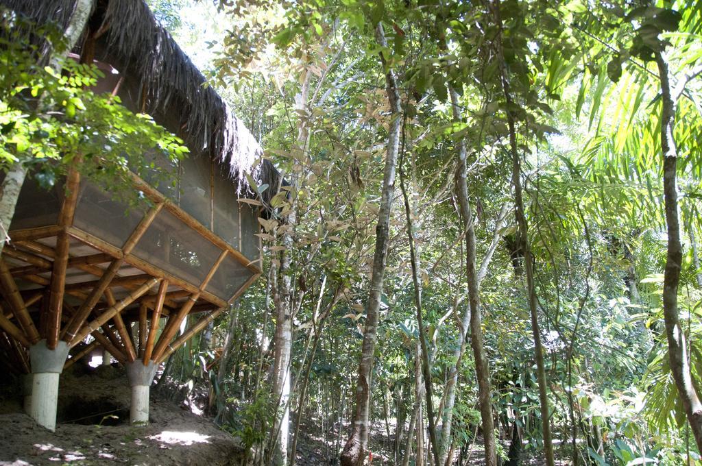 Universo Pol Bamboo Hostel Morro de Sao Paulo Phòng bức ảnh