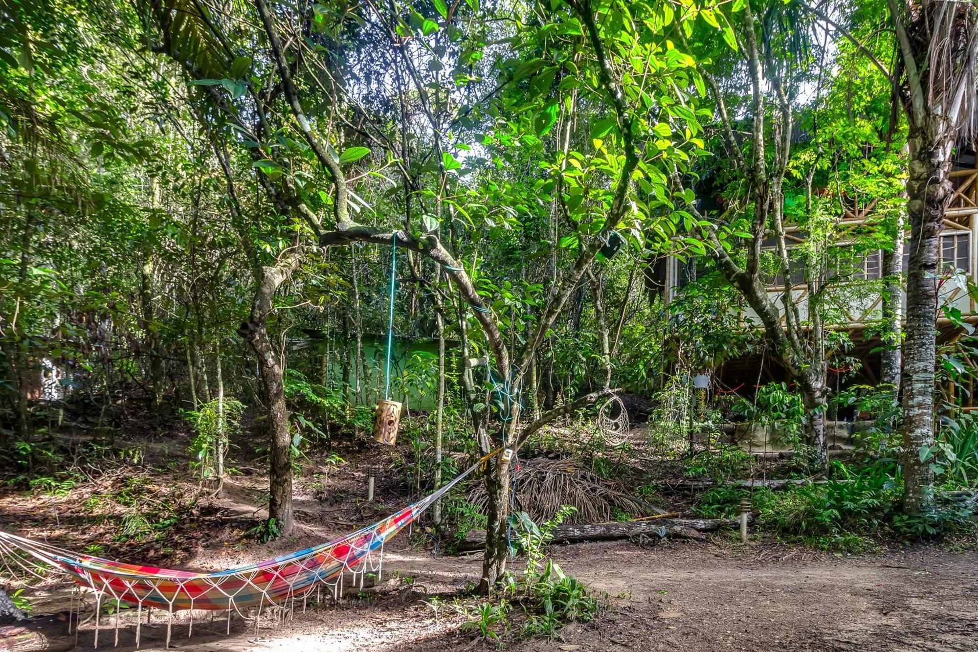 Universo Pol Bamboo Hostel Morro de Sao Paulo Ngoại thất bức ảnh
