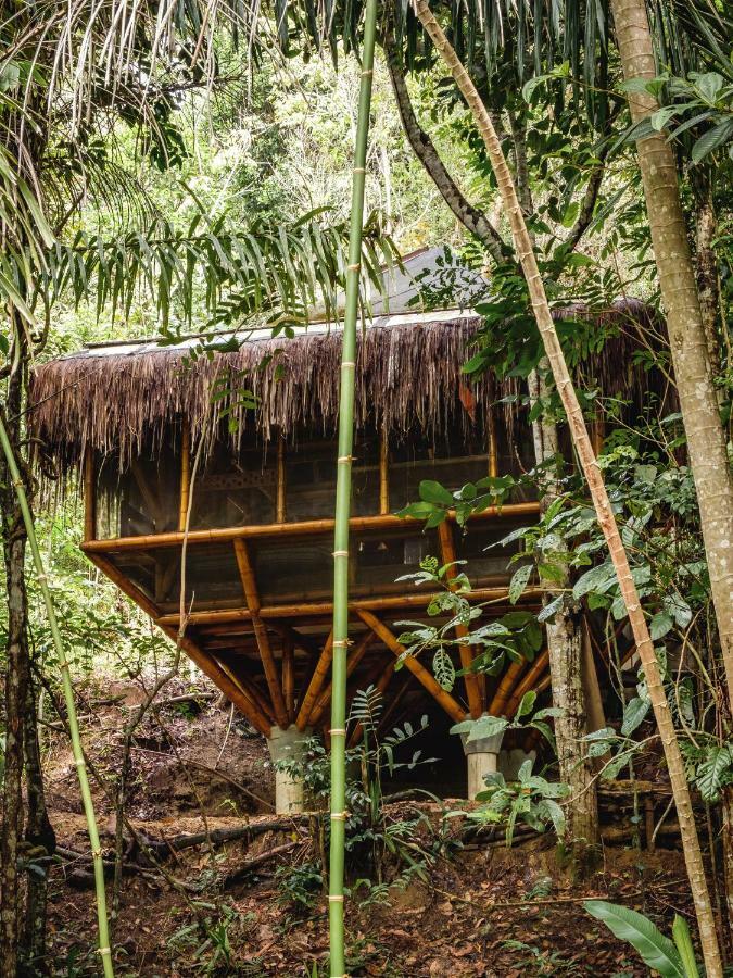 Universo Pol Bamboo Hostel Morro de Sao Paulo Ngoại thất bức ảnh